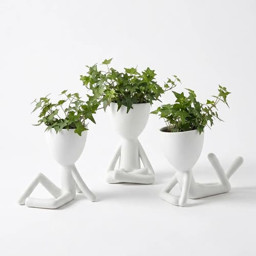 Kit 3 Lindos Vasos Decorativo Suculentas Planta Bbb Criativo